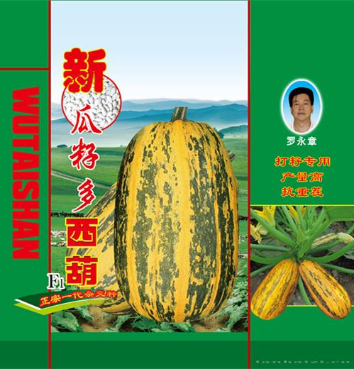 供应新瓜籽多西葫芦种子 