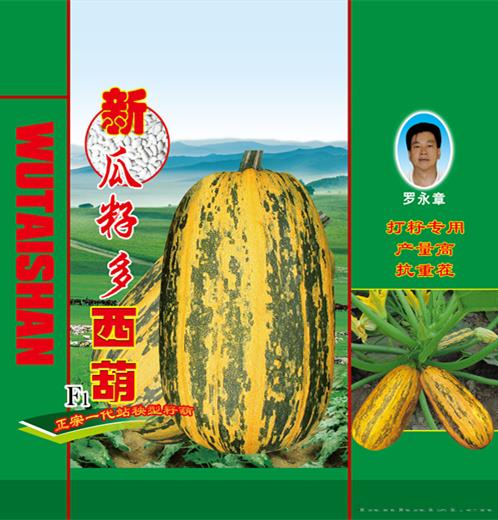供应新瓜籽多西葫（站秧型）西葫芦种子 
