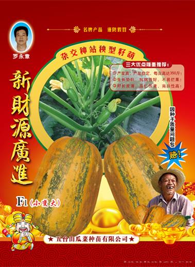 供应新财源广进（站秧型）西葫芦种子 