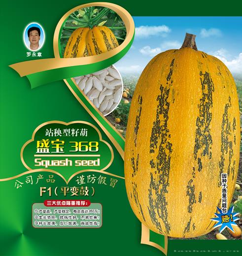 供应盛宝368（站秧型籽葫）种子 