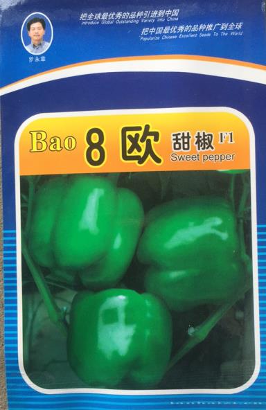供应8欧-甜椒种子 