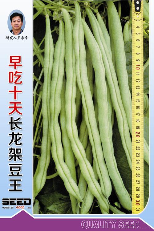供应早吃十天长龙架豆王-架豆种子 