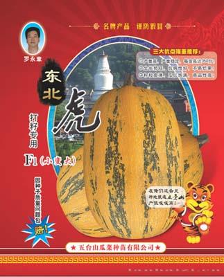 供应东北虎——籽用葫芦系列 