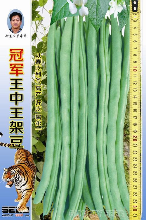 供应冠军王中王架豆-架豆种子