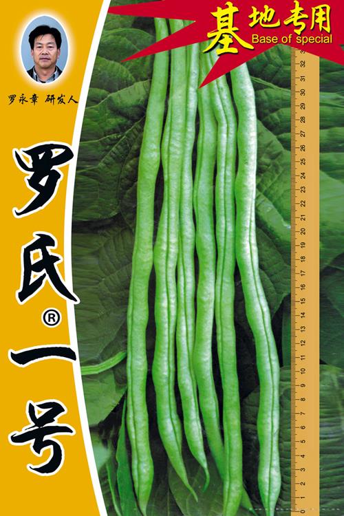 供应罗氏一号架豆种子 