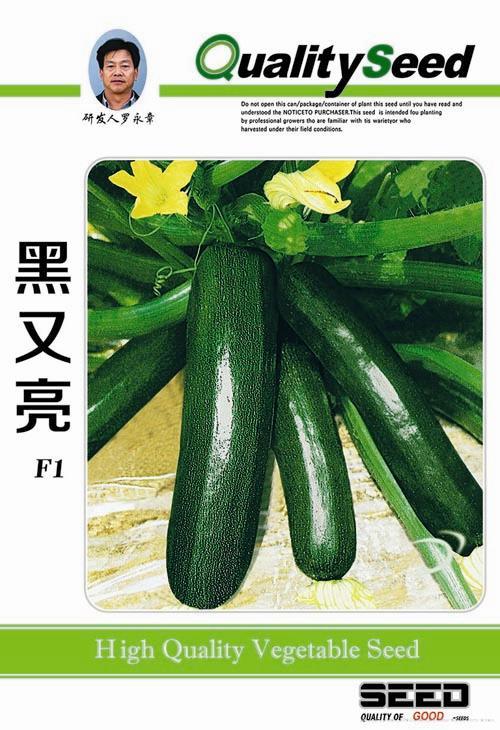 供应黑又亮-西葫芦种子 