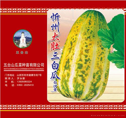 供应忻州大肚三白瓜-甜瓜种子 