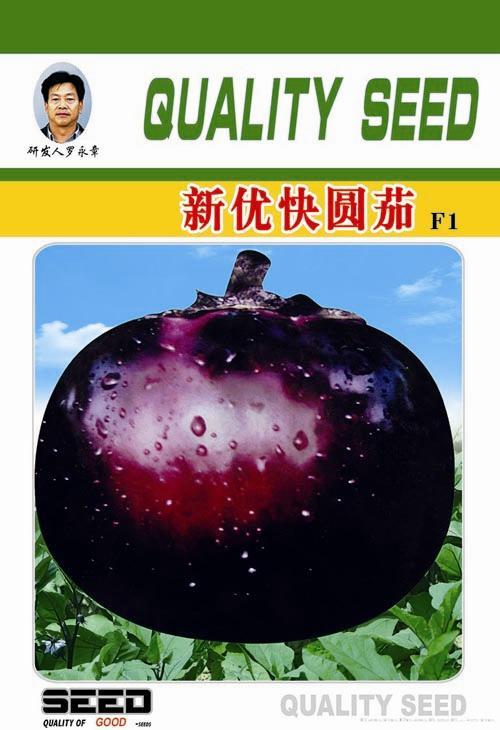 供应新优快圆茄-茄子种子 