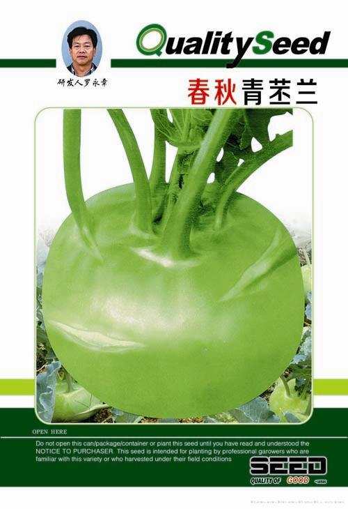 供应春秋青丕兰-根菜种子 