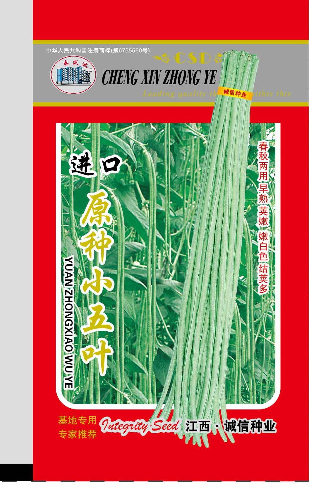 原种小五叶—豇豆种子 