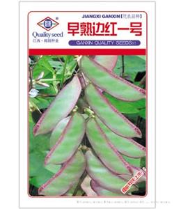 早熟边红一号—扁豆种子