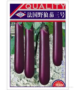 法国野狼茄三号—茄子种子 