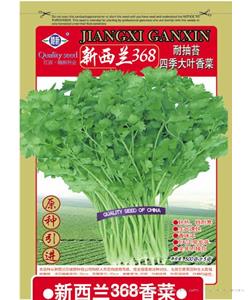 新西兰368香菜—香菜种子
