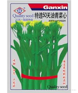 特选50天油青菜心—油菜种子
