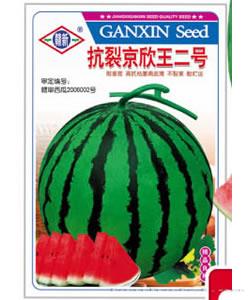 京欣王二号—西瓜种子