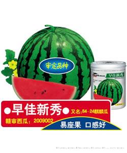 供应早佳新秀—西瓜种子