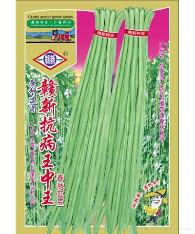 赣新抗病王中王—豇豆种子