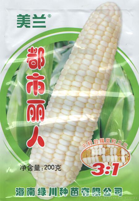 美兰都市丽人