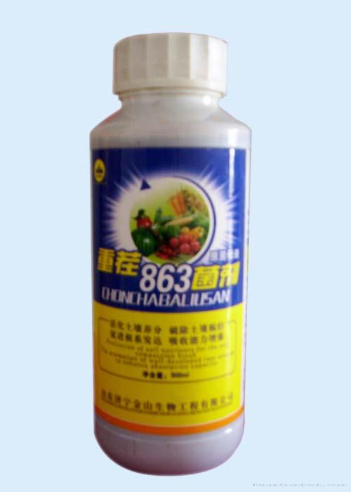 重茬863菌剂 原菌母液