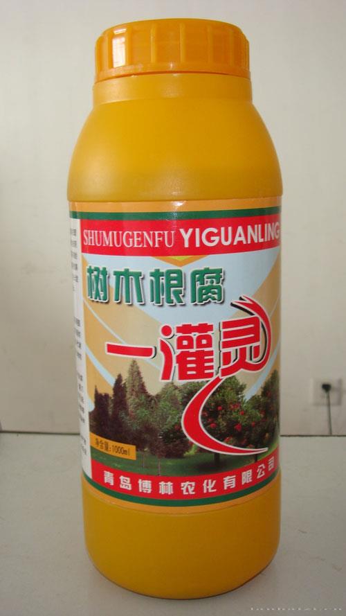 树木根腐一灌灵
