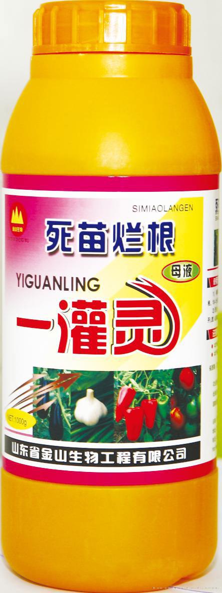 死苗烂根一灌灵
