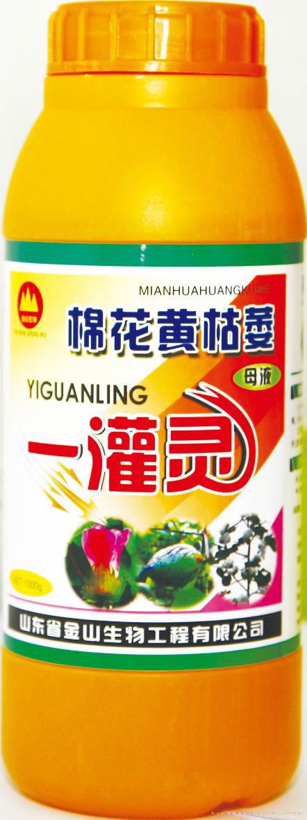 棉花黄枯萎一灌灵