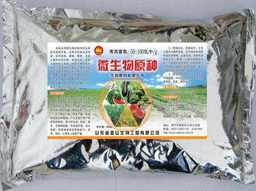 微生物原种