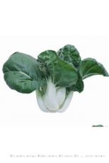 龙湖141奶白菜