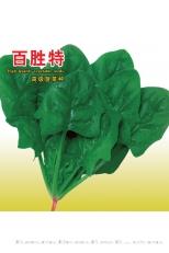 百胜特