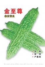 金至尊