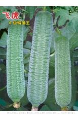 飞虎