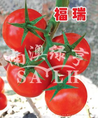 福瑞