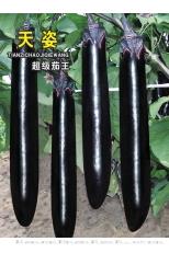 天姿