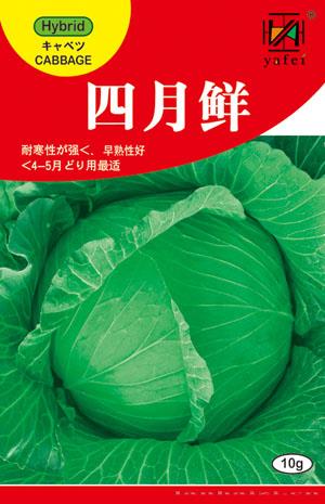 四月鲜