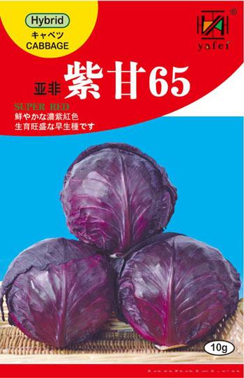 紫甘65