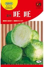 旺旺