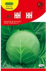 亚非丽丽