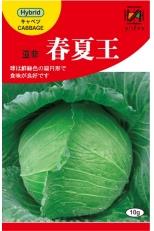 春夏王