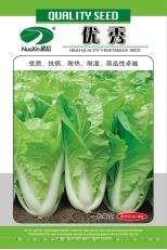 优秀