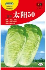 太阳50