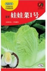 娃娃菜1号