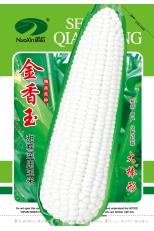 金香玉