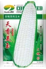 天香美玉