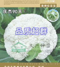 庆杰90天青梗松花菜