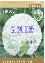 庆杰80天青梗松花菜