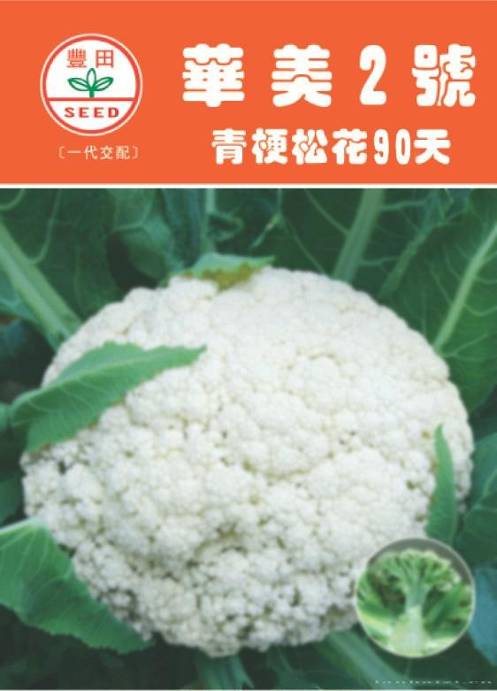 华美2号青梗松花90天