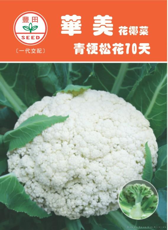 华美青梗松花70天