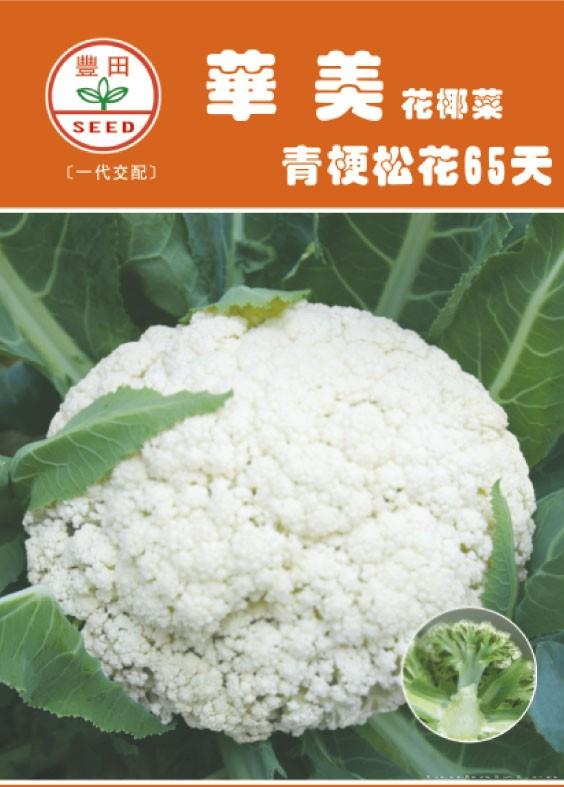 华美青梗松花65天
