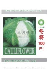 冬将100花菜