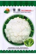 雪浪